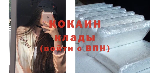 трава Няндома