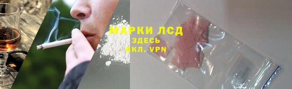 трава Няндома