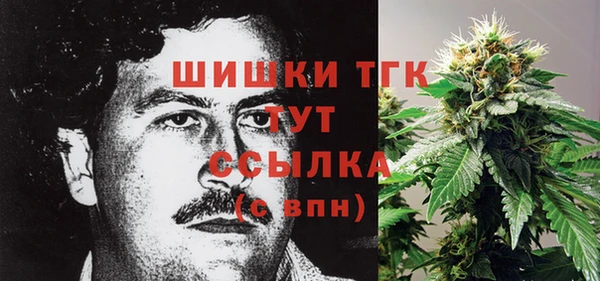 трава Няндома