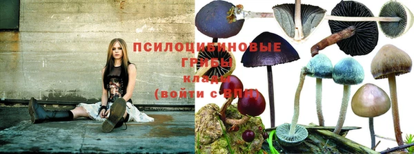 стафф Кемь
