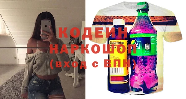 трава Няндома