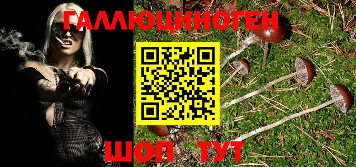 Галлюциногенные грибы MAGIC MUSHROOMS Лиски